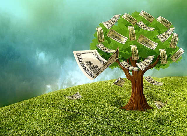 peníze na stromě.jpg